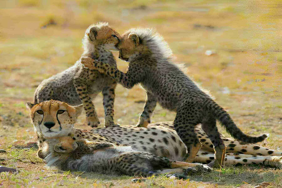 Lake Nakuru National Park
